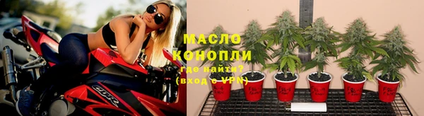 твердый Магас