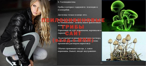 синтетический гашиш Медногорск