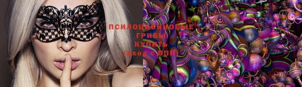 ПСИЛОЦИБИНОВЫЕ ГРИБЫ Рославль