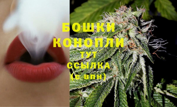 гашик Майский