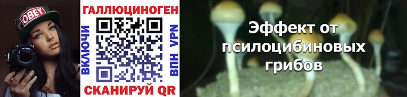 Галлюциногенные грибы MAGIC MUSHROOMS  Шатура 