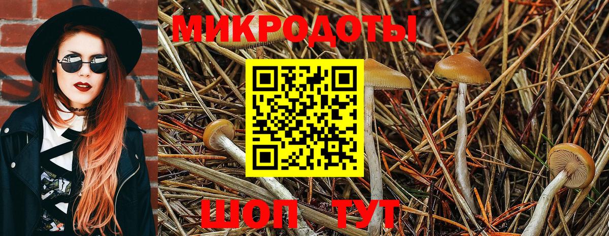 Шатура  Галлюциногенные грибы мицелий  Вход с VPN 
