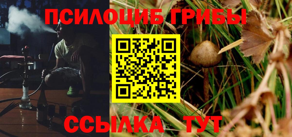 Галлюциногенные грибы Cubensis Шатура